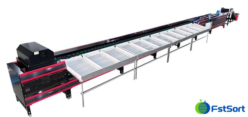 images/1739774627544máquina clasificadora de manzanas por peso.jpg